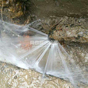 台儿庄消防管道漏水检测